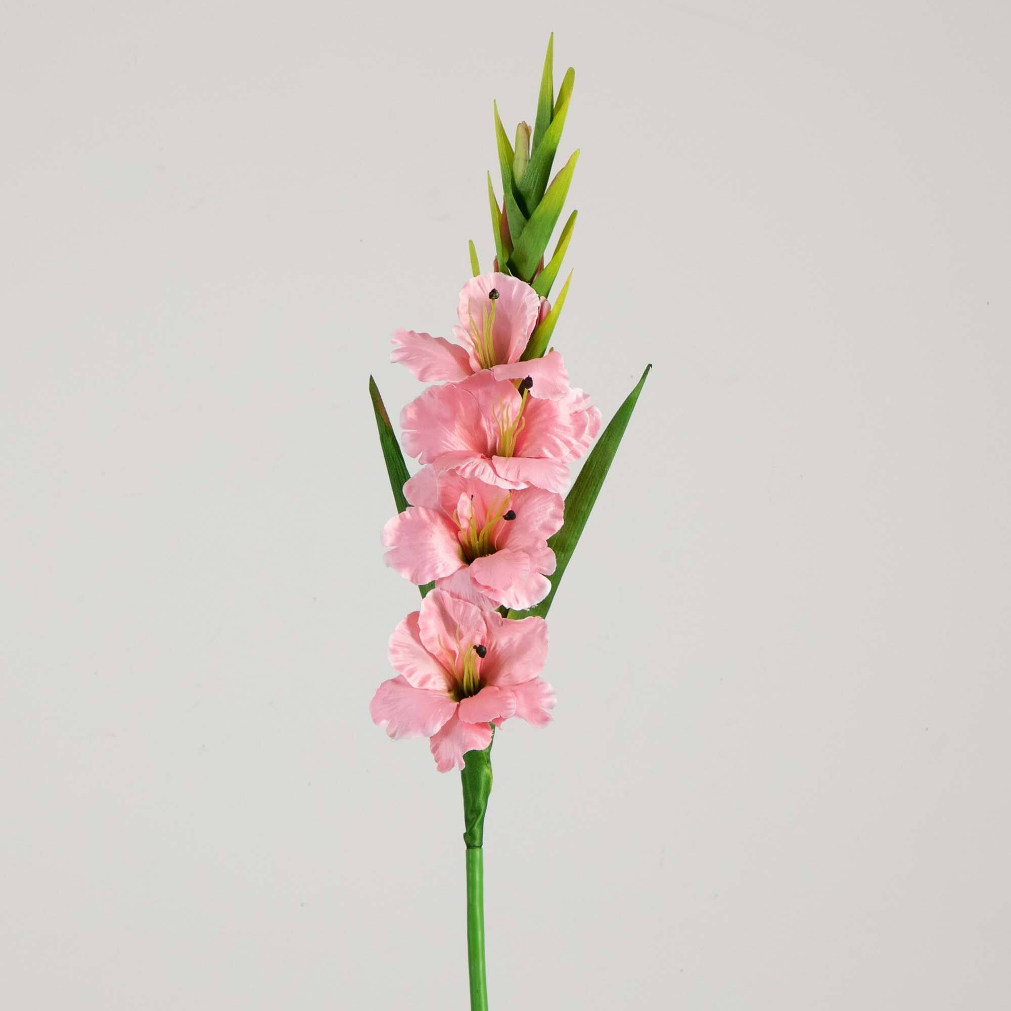 45" Pink Gladiolus Flower Stems, 3ct.